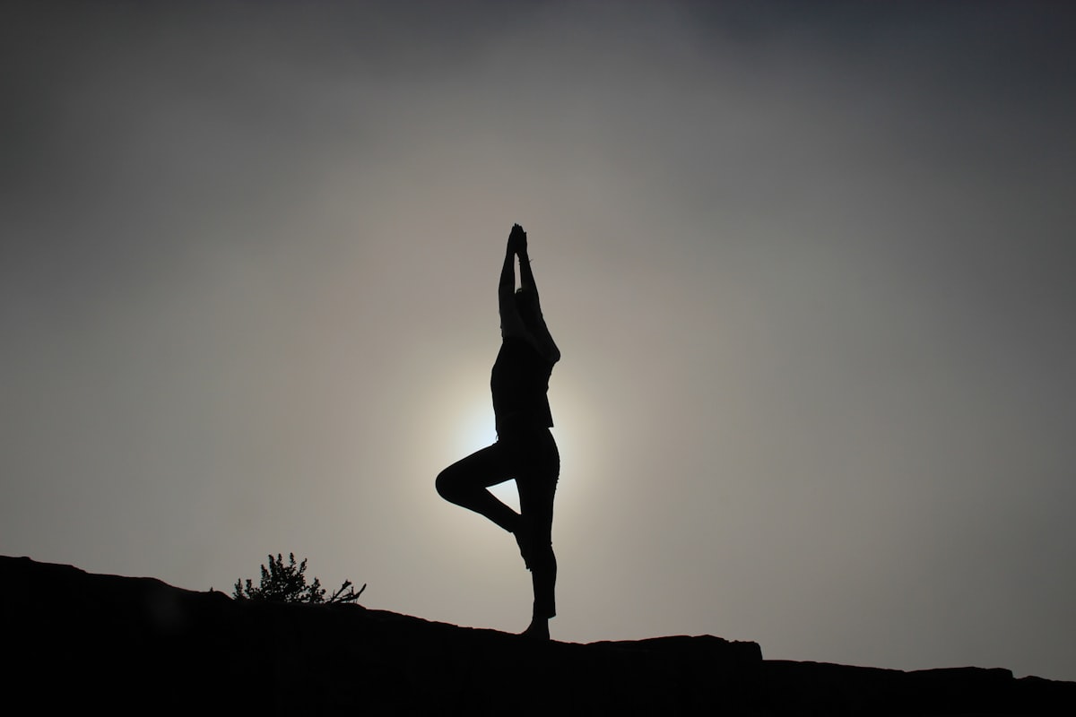 Vinyasa yoga mozgások